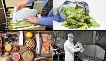 sqf_riskmgmt_collection