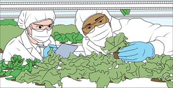 Two Workers illustration