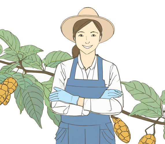 From the cacao producer