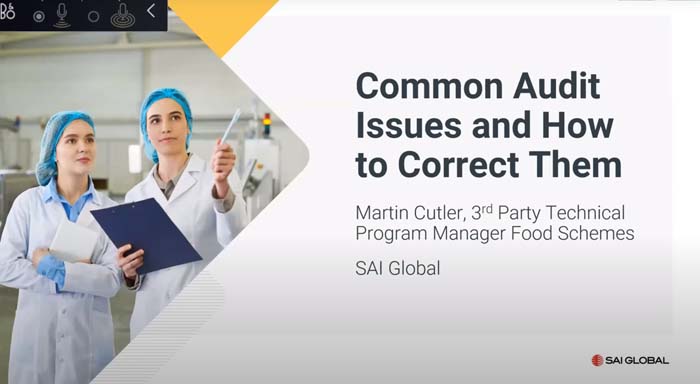 Common Audit Issues and How to Correct Them